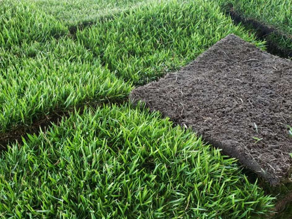 Best SOD Grass For Sale Alabama | SOD Grass For Sale Florida