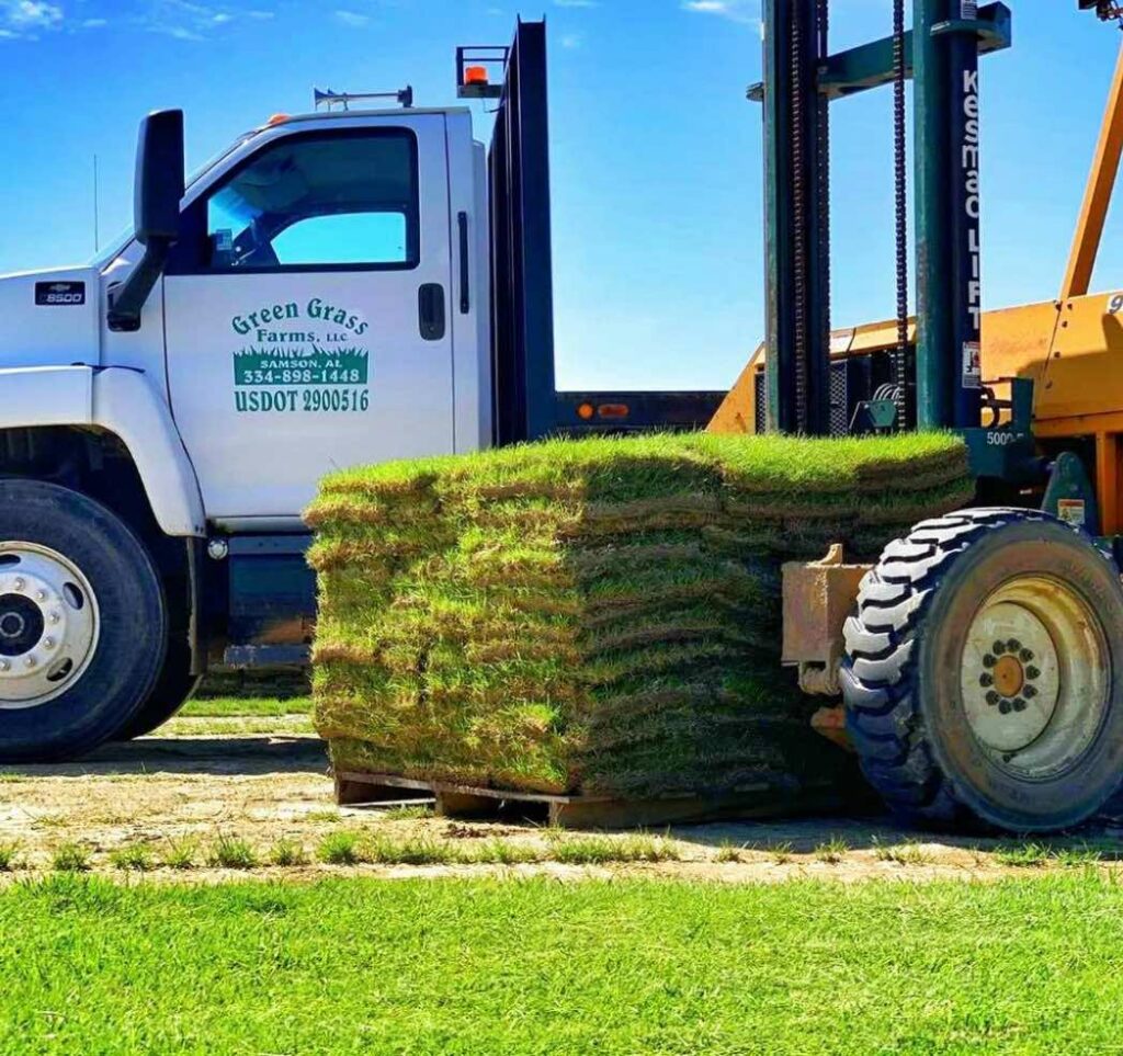 Best SOD Grass For Sale Alabama | SOD Grass For Sale Florida