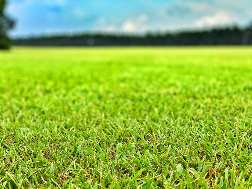 SOD Grass For Sale Alabama