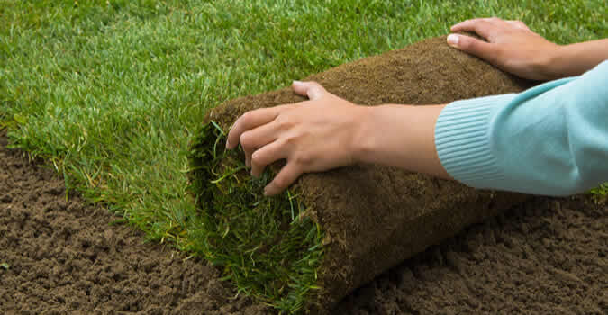 Laying SOD Grass Best SOD For Sale Alabama Florida