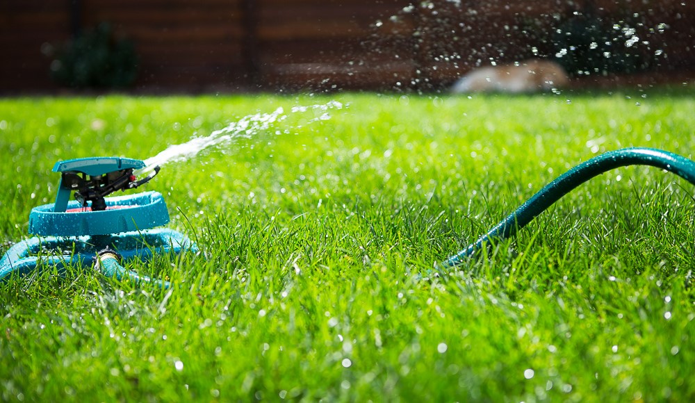 Best Time To Water Your Lawn Featured