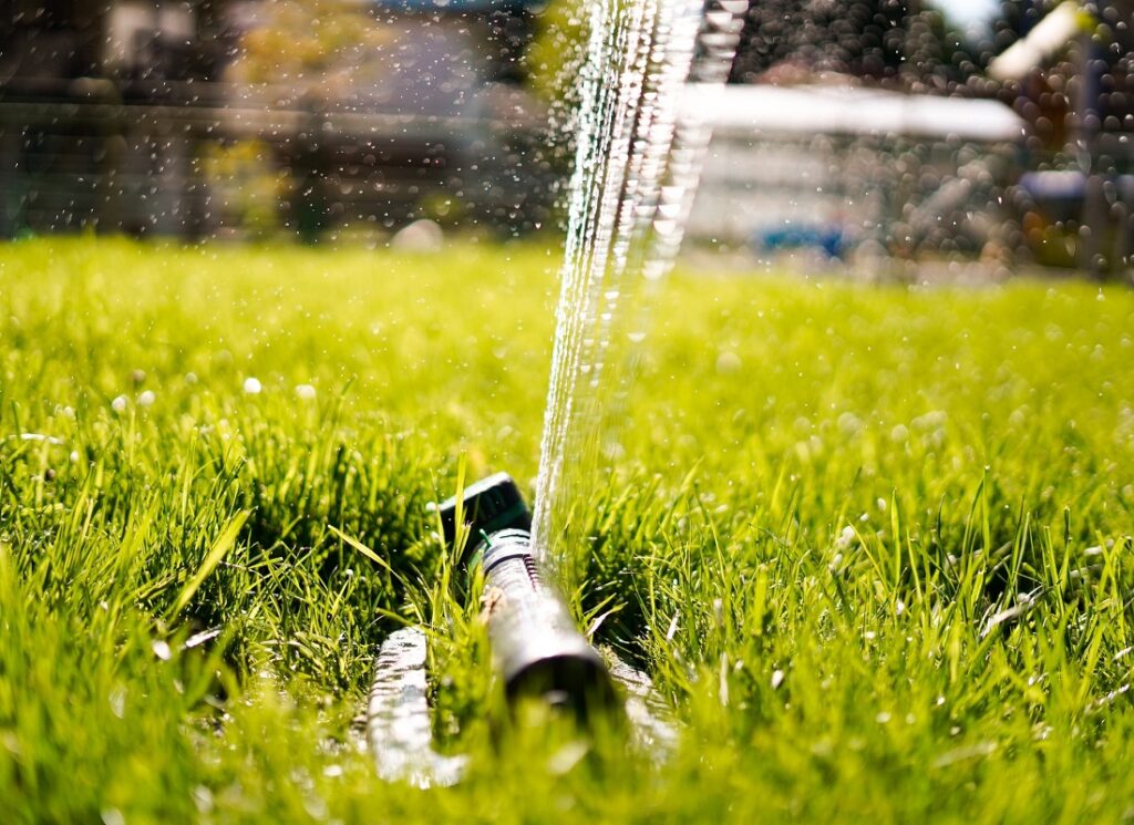 Watering The Lawn In Summer
