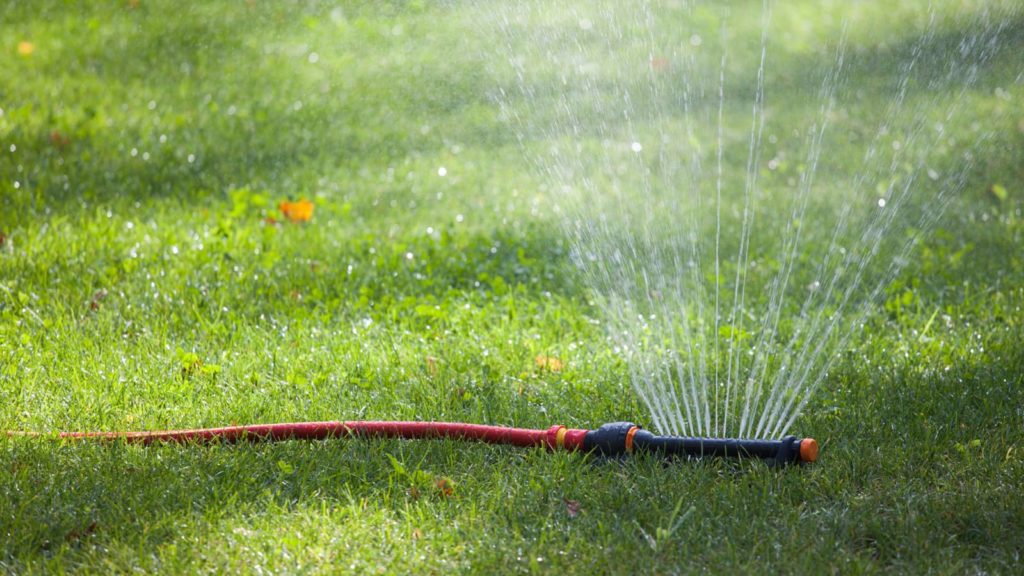 Sprinkler On Lawn Waterting Grass 1024x576