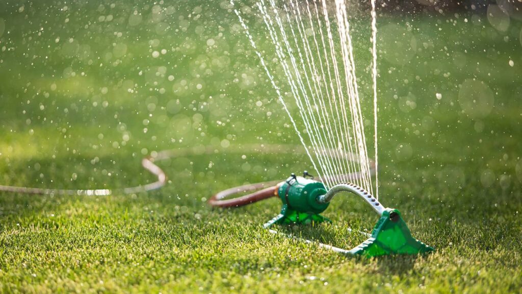 Sprinkler Watering Lawn Summer