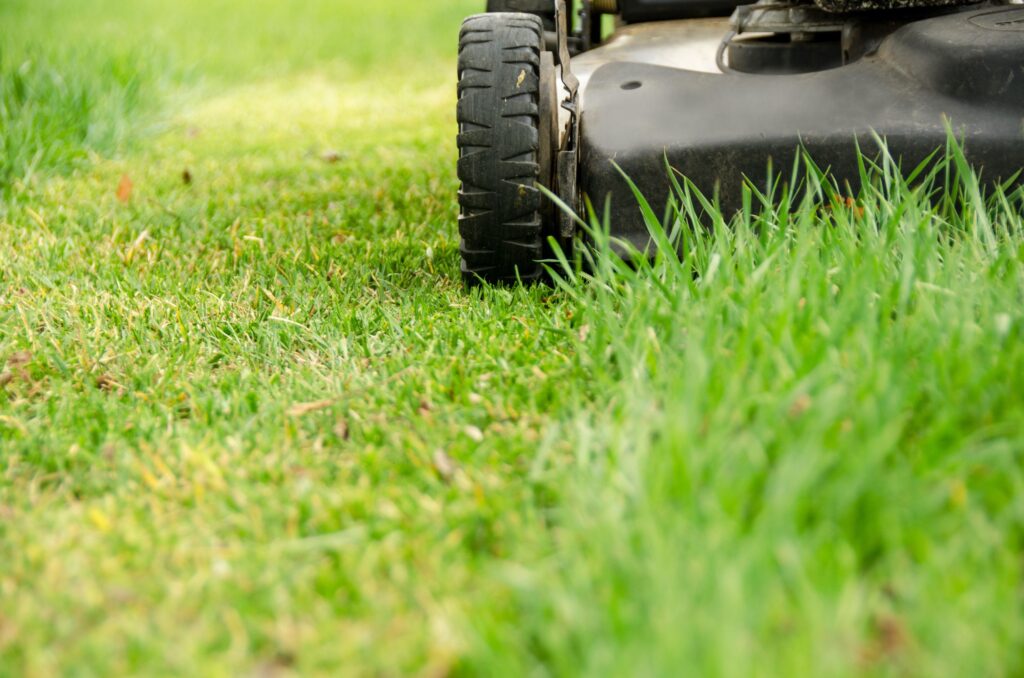 How To Mow Lawn First Time Year 6405a8c9a6045